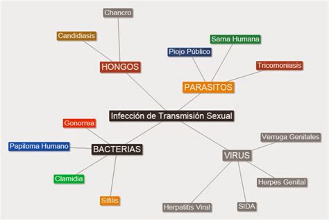 Las Infecciones De Transmisión Sexual En Los Adolescentesits El Mapa