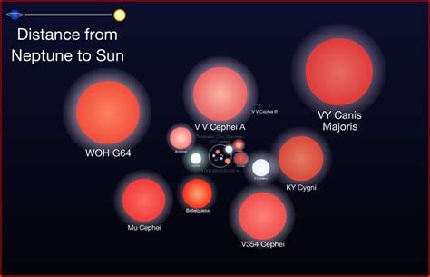 Astronomers working in germany first discovered and identified the start in 1860 as part of their research at the boon observatory. Largest Stars discovered..VY Canis Majoris is the largest ...