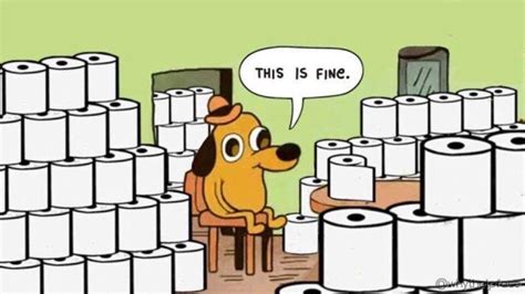 This Is Fine Toilet Paper Edition Rcoronavirusmemes