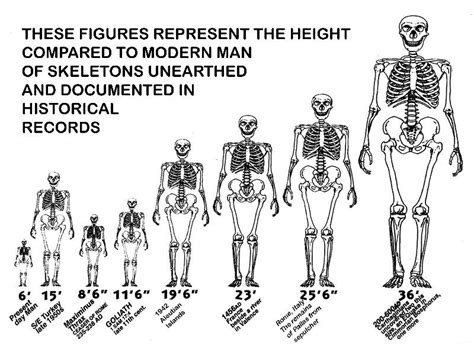 How Tall Were The Nephilim In The Book Of Enoch Culturalbook