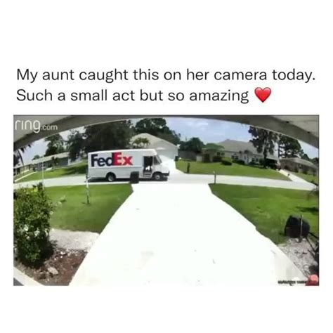 My Aunt Caught This On Her Camera Today Such A Small Act But So Amazing Ifunny