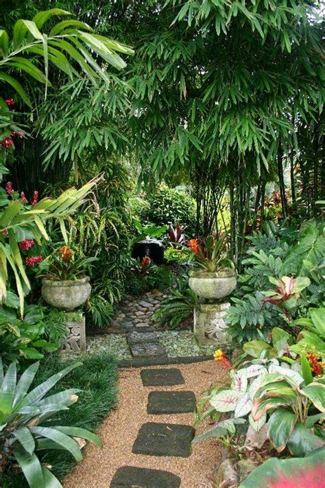 Pin By Lea Louren O On Beautiful Gardens Jungle Gardens Tropical