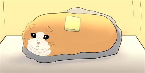 The True Story Behind Butter Cat Meme Animated Youtube