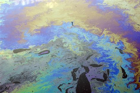 Oil On The Water Smithsonian Ocean