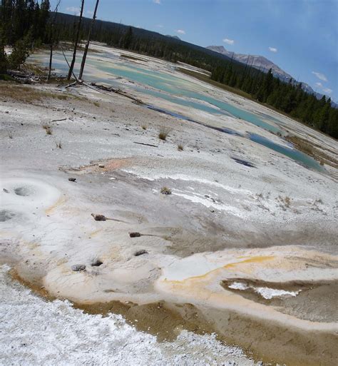 Thermal Basin The Geothermal Areas Of Yellowstone Include Flickr