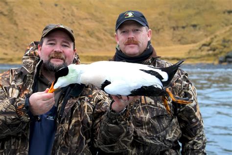 Team X Treme Gallery Aleutian Island Waterfowlers Alaksa Duck