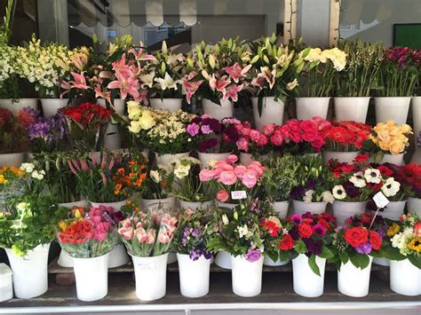 Nov 06, 2017 · san francisco's premier recreational cannabis dispensary, lounge, and delivery. 5 Best Options for Flower Delivery in San Francisco