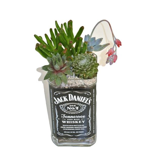 Pin on Cut Bottle Planters