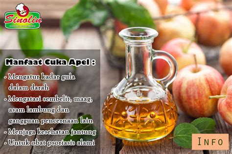 Pemanfaatan cuka apel telah lama menjadi praktik umum di kalangan penduduk di benua amerika utara. Cara Minum Cuka Apel Untuk Asam Lambung - Seputar Minuman