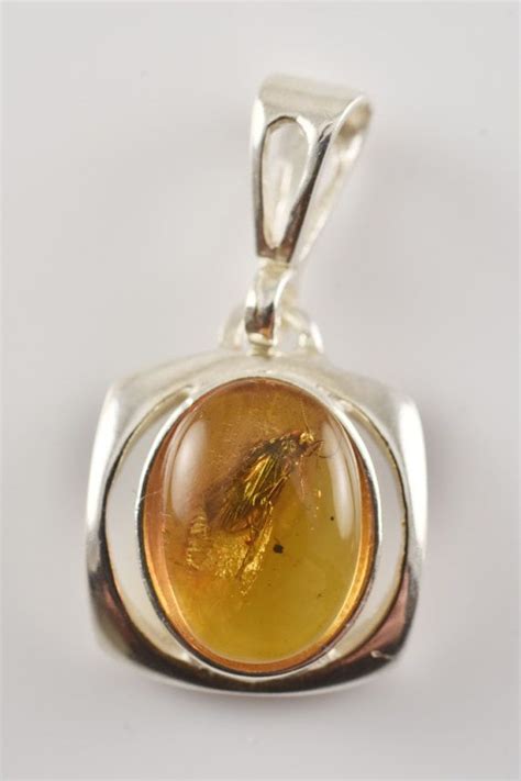 Amber Insect Baltic Amber Stone Pendant Amber By Ambersmell Amber