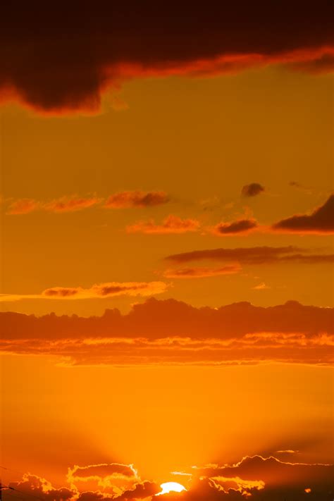 Orange Sunset Free Stock Photo Public Domain Pictures