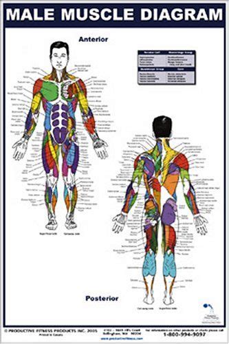 Pin on Fitness/Health