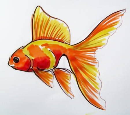 Gold Fish Picture 13 | Золотая рыбка, Цветные татуировки ... Drawing of paints and pencil.