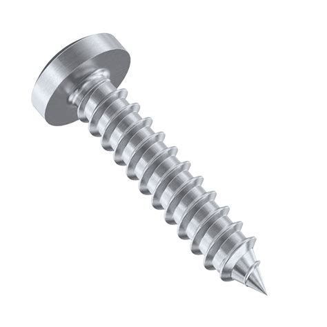 No4 No6 No7 A2 Stainless Steel Torx Pan Head Self Tapping Screws
