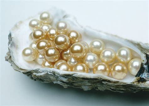 Top 10 Most Expensive Pearls In The World Vlrengbr