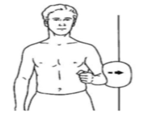 Shoulder Bursitis Exercises Reflex Health