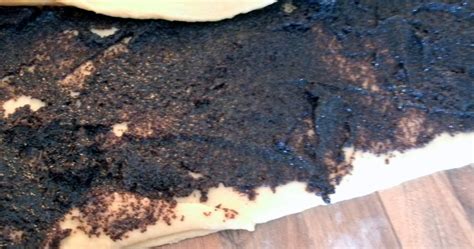 Dass mohn für kuchen genutzt wird, liegt auch am hohen ölgehalt der kleinen samen, die nicht nur schwarz, blau und braun, sondern auch weiß sein können und dann bis zu 60 prozent fettes öl enthalten; backe-backe-kuchen: Mohnfüllung für Kuchen