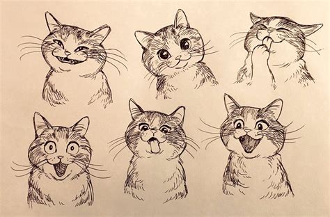 Bev Johnson On Twitter Animal Drawings Cat Art Animal Sketches