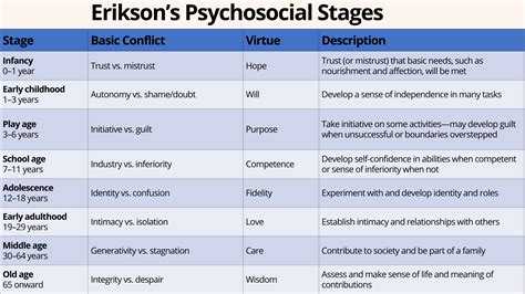 Eriksons Psychosocial Stages Of Development Stages Of Psychosocial