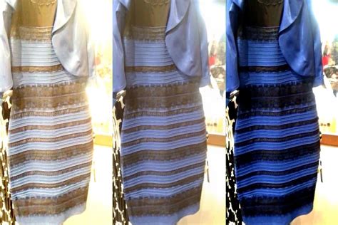 Blue And Black Or White And Gold The Science Behind The Dress Debate