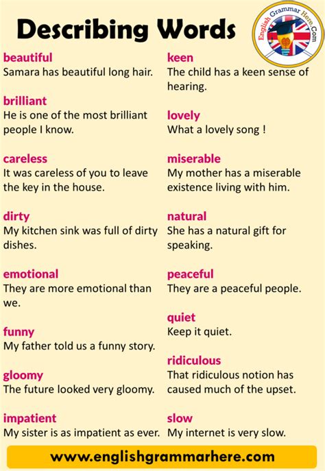 20 Describing Words And Example Sentences In English English Grammar Here