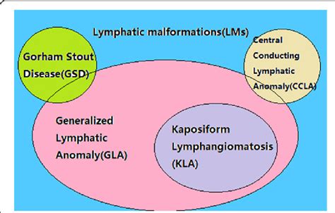 Issva Classification Of Lymphatic Malformations Complex Lymphatic