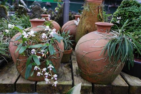 Hanging pot racks are a great way to bring farmhouse charm to any kitchen. Orchids mounted on clay pots | Gardening | Pinterest ...