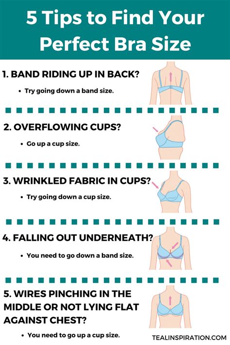 Tips To Find Your Perfect Bra Size Teal Inspiration