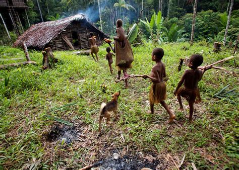 Mit Dem Wissen Indigener Völker Die Welt Retten Ökologie Derstandardat › Panorama
