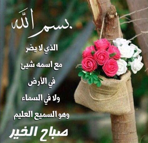صباح الفل والورد ياجمل صباح في الدنيا عزه و ثقه