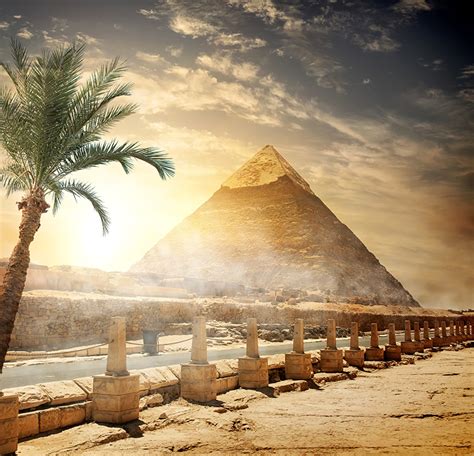 Desktop Wallpapers Egypt Cairo Desert Nature Sky Pyramid Palm Trees