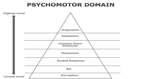 Psychomotor Domain Simpsons Taxonomy Educare We Educate We Care