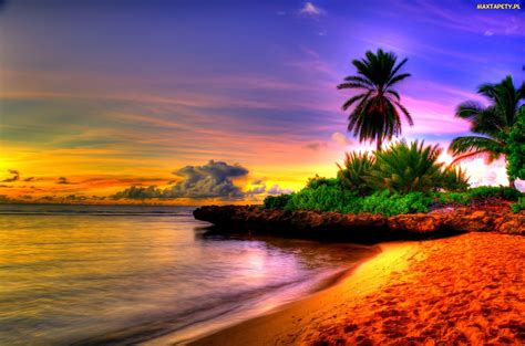 Tapety Zdjęcia Morze Palmy Zachód Słońca Plaża