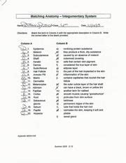 The numbers next to the words should equal 100 when all the correct words are put with the. Matching Anatomy Integumentary System Worksheet | Anatomy ...