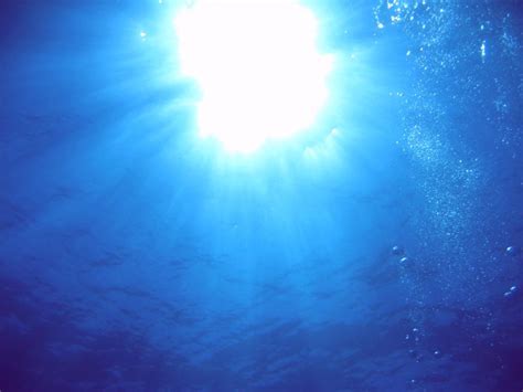 Underwater Sun Looking Up From About 40 Feet Below The Sur Tobze