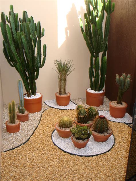 .: Jardim de Inverno