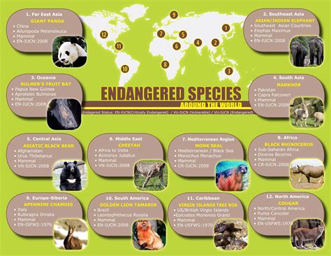 Endangered Species Brochure Pr Designs Endangered Endangered Species