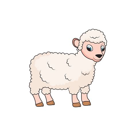 How To Draw A Lamb Step By Step