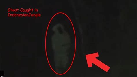 Photographers may review thousands of images and videos and find only the usual orbs and streaks of light, but. Ghost Caught on Camera || Indonesian Jungle || Fake or Real in 2020 | Ghost caught on camera ...