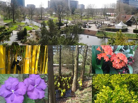 Botanische Tuinen Utrecht Elke Dag Wat Blog