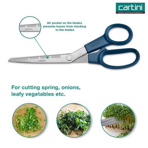 Buy Cartini By Godrej Scissors Leaf Cutting Online At Best Price Of