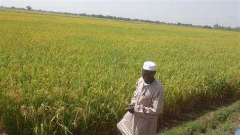 Neema Agricole Du Faso Nafaso Une Clé Pour Lagriculture Burkinabè
