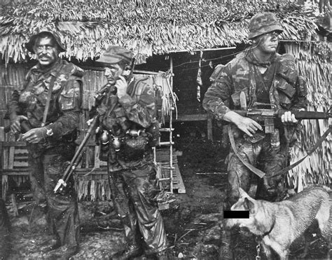 Seal Team 2 L R Boyce Drady Schwalenberg And Military Working Dog