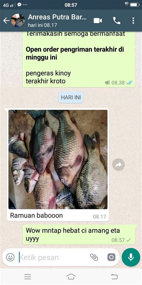 Cara membuat pecel sayur sunda: Cara Membuat Umpan Ikan Mas Jaruh