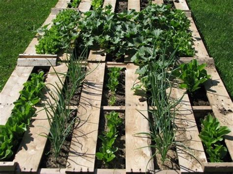 Refresh Your Eyes And Mind With Pallet Vegetable Garden 101 Pallets