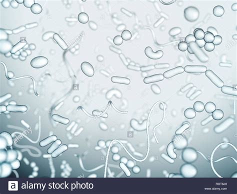 Gram Positive Bacteria Hi Res Stock Photography And Images Alamy
