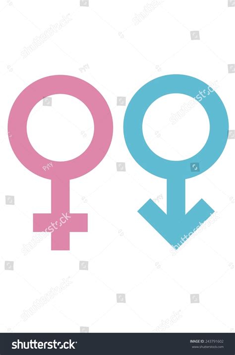 Gender Signs For Male And Female Circles With Cross And Arrow Stock Vector Illustration