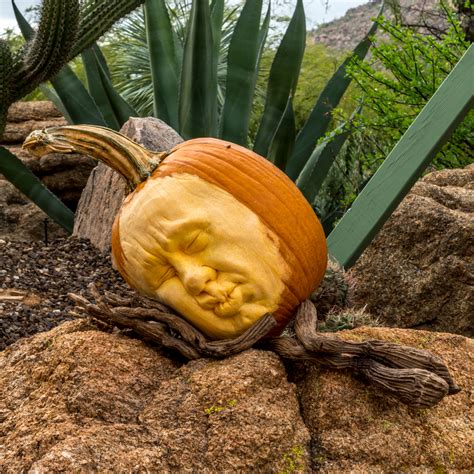 Enchanted Pumpkin Garden Carefree Arizona