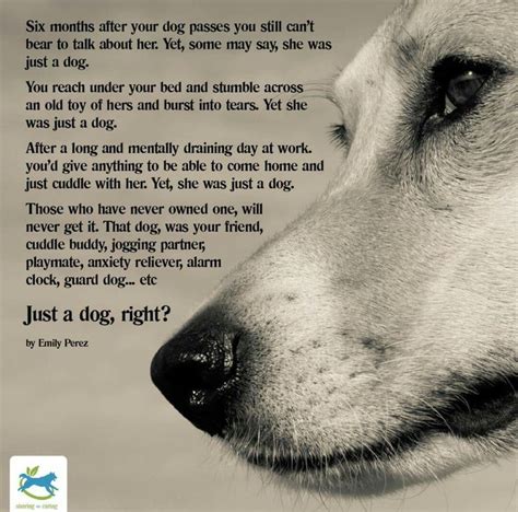 Pin By Tabatha Lantz On Doggie Needs Dog Poems Dog Quotes Dogs