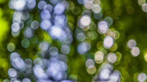 Light Bokeh Photography · Free Stock Photo